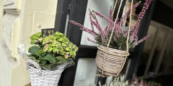 Otevřený voucher v hodnotě 600-2000 Kč na cokoli z květinářství Golden Flowers