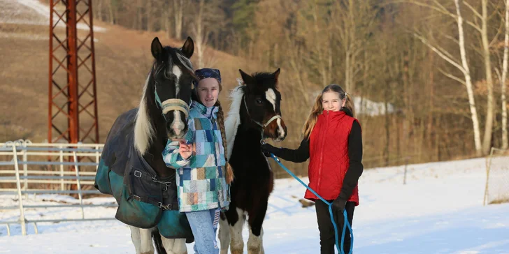 Den ve stáji: péče o koně, seznámení se zvířaty i jezdecký výcvik pro 1 až 2 osoby