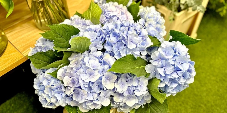 Otevřený voucher v hodnotě 600-2000 Kč na cokoli z květinářství Golden Flowers