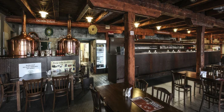Prohlídka muzea pivovarnictví, Žateckého pivovaru, vodárenské věže a degustace piv