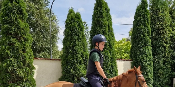 Vyjížďka na koni či poníkovi pro začátečníka: do terénu se zkušeným doprovodem