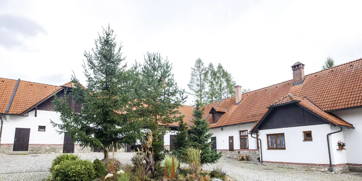 Vychutnejte si Šumavu naplno: ubytování v apartmánech v srdci přírody