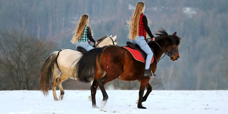 Den ve stáji: péče o koně, seznámení se zvířaty i jezdecký výcvik pro 1 až 2 osoby