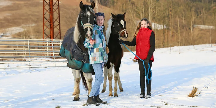 Hodinová vyjížďka na poníkovi pro děti nebo na koni pro dospělé: až pro 5člennou rodinu