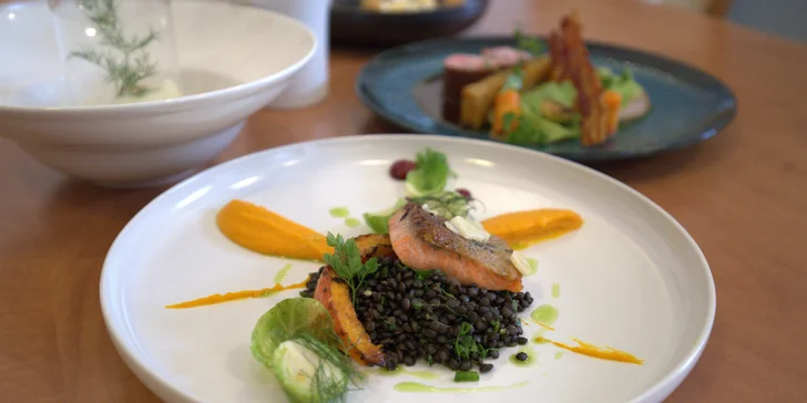 Degustační menu v klasicistním zámečku i vstup do wellness pro 2 osoby