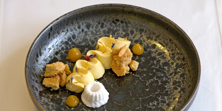 Degustační menu v klasicistním zámečku i vstup do wellness pro 2 osoby