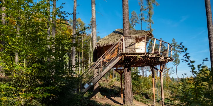Tree house v lesích u Brna: domek postavený na modřínu až pro 4 osoby