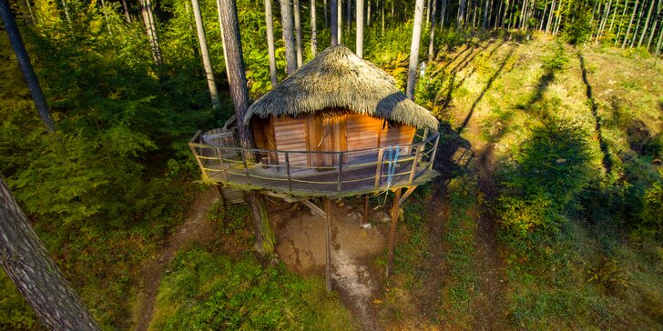 Tree house v lesích u Brna: domek postavený na modřínu až pro 4 osoby