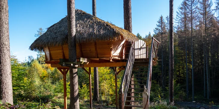 Tree house v lesích u Brna: domek postavený na modřínu až pro 4 osoby