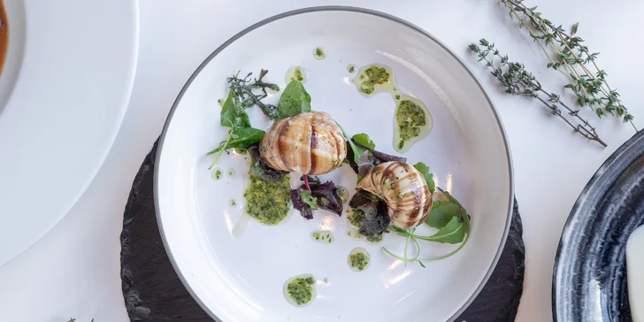 6chodové francouzské menu od kuchaře s michelinskou praxí: žabí stehýnka, šneci i kuřecí stehno
