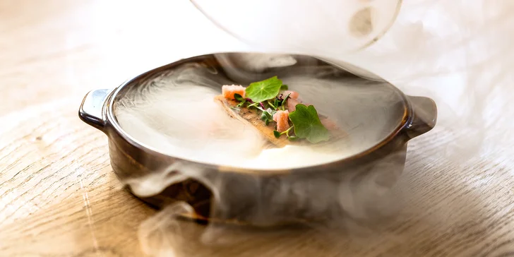 Luxusní 7chodové menu i vinné párování ve zrekonstruované secesní Ville Rosenaw