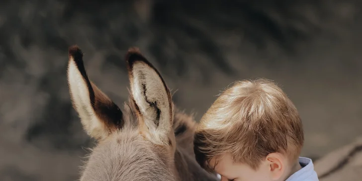 Pobyt mezi zvířátky na ranči: karavan, chatka či maringotka, mini zoo, koně a možnost snídaní