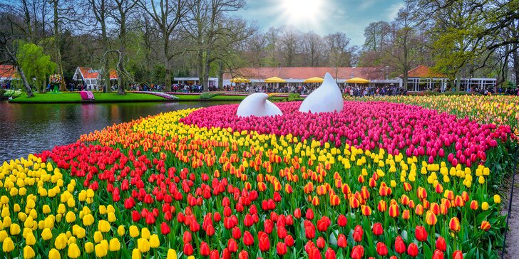 Vyrazte do Keukenhofu: jarní výlet do největšího květinového parku v Evropě