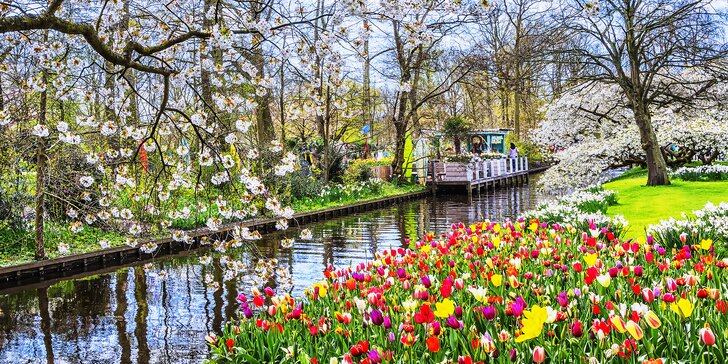 Vyrazte do Keukenhofu: jarní výlet do největšího květinového parku v Evropě