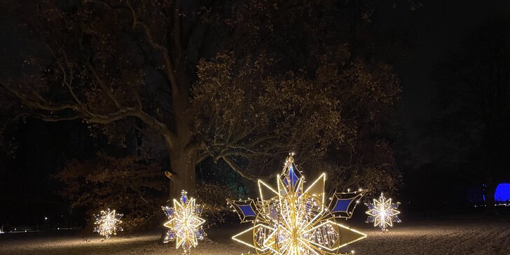Adventní plavba na vánoční trhy do Pirny a na rozsvícené zámecké zahrady Pillnitz a autobusem zpět
