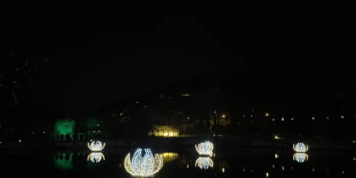 Adventní plavba na vánoční trhy do Pirny a na rozsvícené zámecké zahrady Pillnitz a autobusem zpět