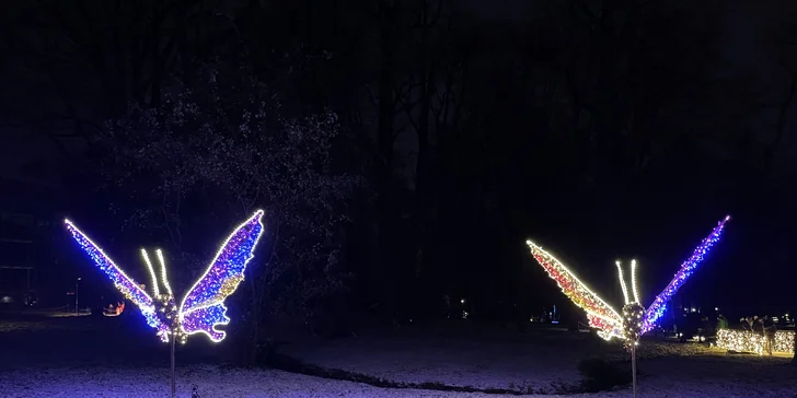 Adventní plavba na vánoční trhy do Pirny a na rozsvícené zámecké zahrady Pillnitz a autobusem zpět