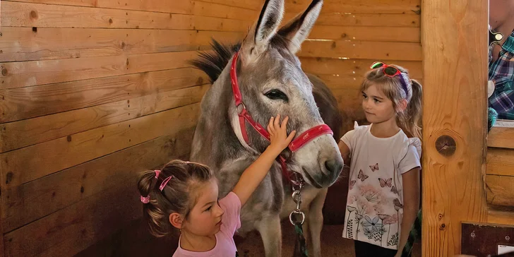 Komentovaná prohlídka statku, krmení zvířátek i projížďka na poníkovi