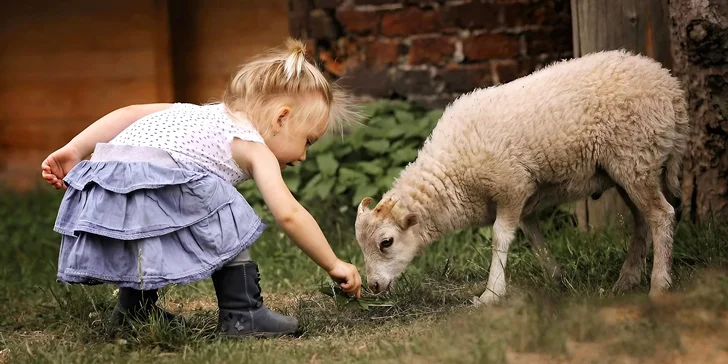 Komentovaná prohlídka statku, krmení zvířátek i projížďka na poníkovi