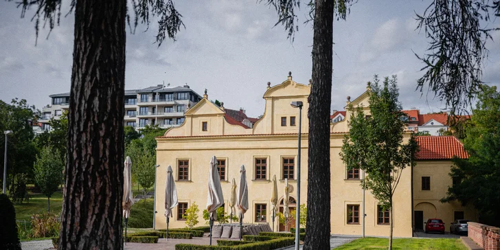 Hostina kousek od Pražského hradu pro dva: krevety, panenka, hovězí rumpsteak i mrkvový dort a víno