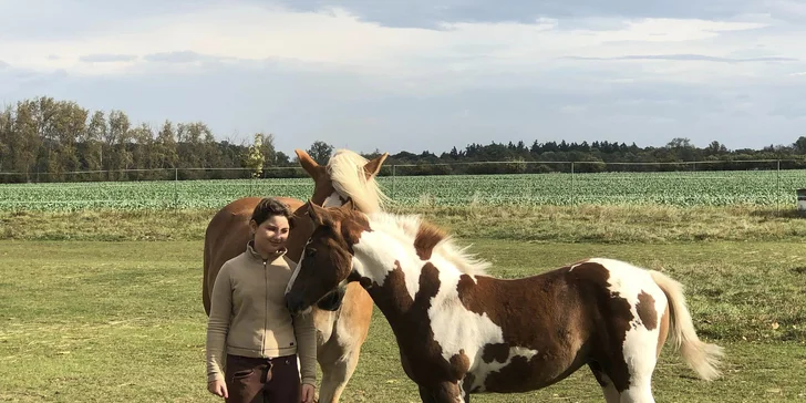 Za koňmi do přírody: vyjížďka nebo kurz komunikace s koňmi pro dospělé i děti