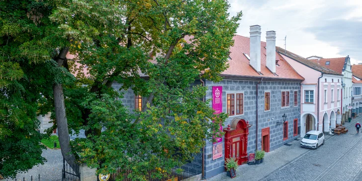 Na okamžik do historie: prohlídky renesanční Zámecké lékárny, různé okruhy a témata