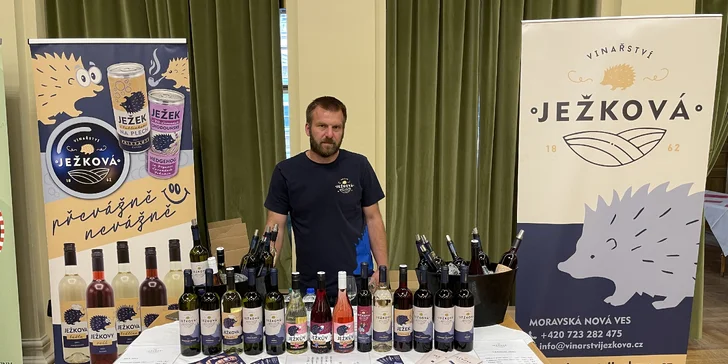 Vstup na VinFest Brno 2024: ochutnávka moravských i světových vín, sýrů, delikates a Horňácká cimbálová muzika k tomu