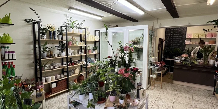 Workshop výroby adventního věnce pro začátečníky i pokročilé