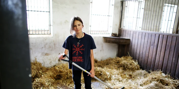 Zážitkový program u koní: práce ve stáji, příprava koně, jízda i piknikový koš
