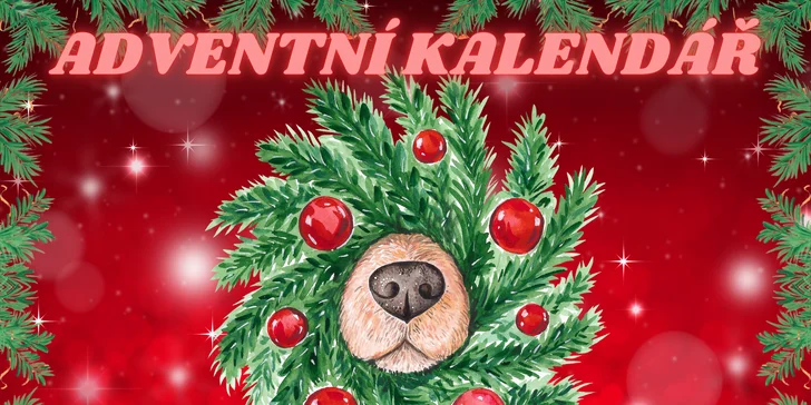 Adventní PDF kalendář plný šifer, hádanek a úkolů: zábava pro děti až do Vánoc