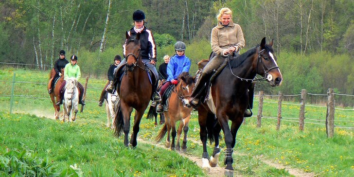 Zážitkový program u koní: práce ve stáji, příprava koně, jízda i piknikový koš