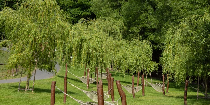 Vstupné na víkendové akce ve Farmaparku: celodenní program, vystoupení, známé osobnosti, zvířátka, atrakce