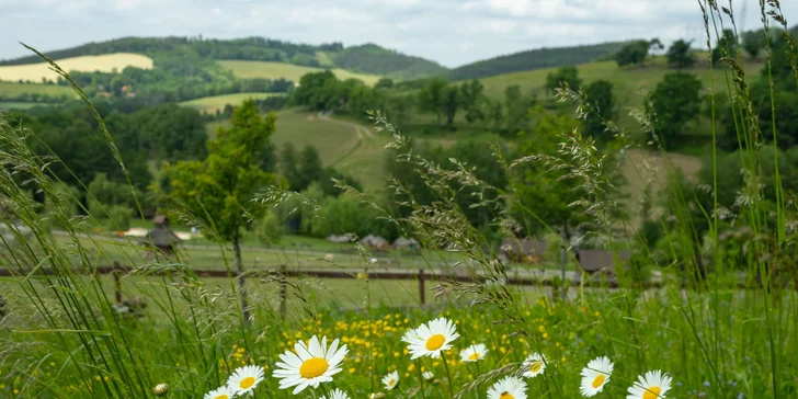 Vstupné na víkendové akce ve Farmaparku: celodenní program, vystoupení, známé osobnosti, zvířátka, atrakce