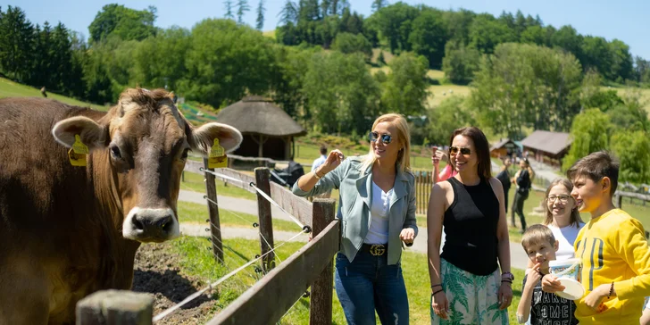 Celodenní, rodinný i celosezónní vstup do Farmaparku včetně atrakcí a kyblík krmení či plyšák