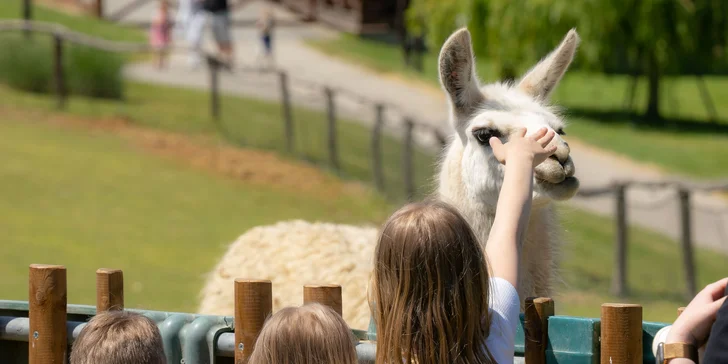 Vstupné na víkendové akce ve Farmaparku: celodenní program, vystoupení, známé osobnosti, zvířátka, atrakce