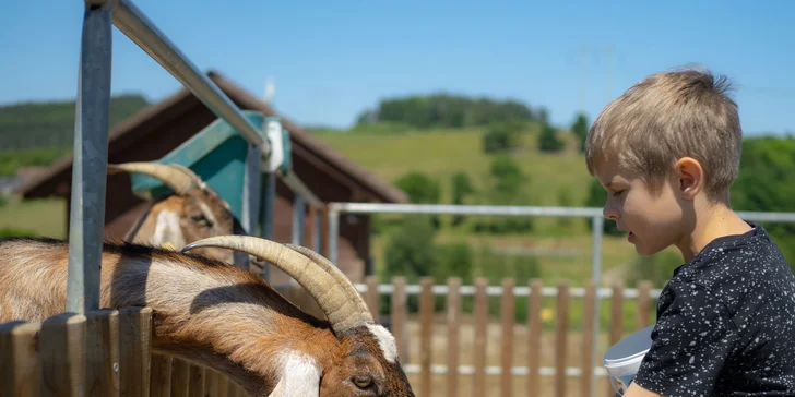 Vstupné na víkendové akce ve Farmaparku: celodenní program, vystoupení, známé osobnosti, zvířátka, atrakce