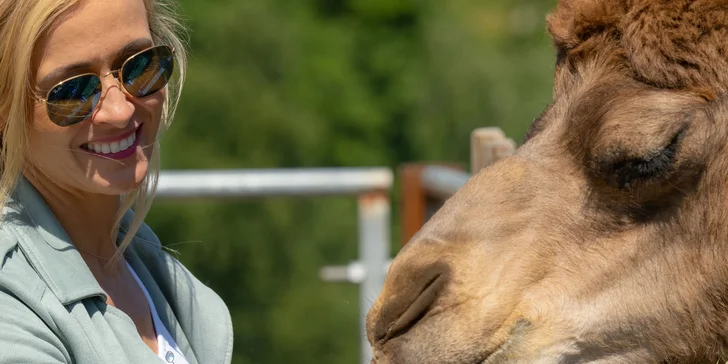 Vstupné na víkendové akce ve Farmaparku: celodenní program, vystoupení, známé osobnosti, zvířátka, atrakce