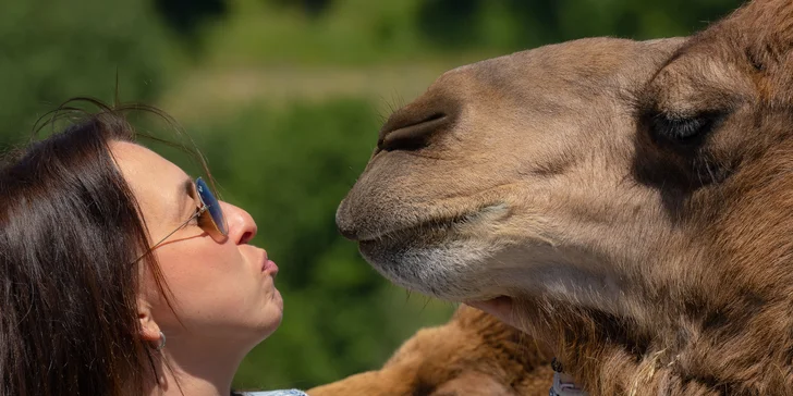 Vstupné na víkendové akce ve Farmaparku: celodenní program, vystoupení, známé osobnosti, zvířátka, atrakce