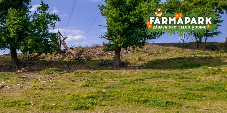 Vstupné na víkendové akce ve Farmaparku: celodenní program, vystoupení, známé osobnosti, zvířátka, atrakce