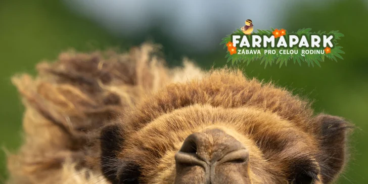 Vstupné na víkendové akce ve Farmaparku: celodenní program, vystoupení, známé osobnosti, zvířátka, atrakce