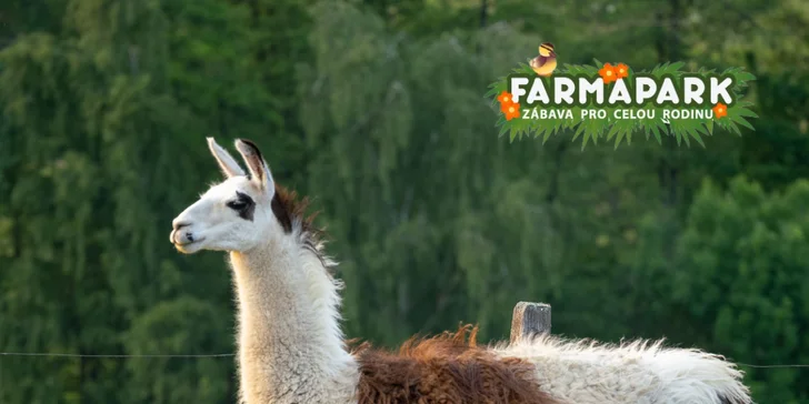 Vstupné na víkendové akce ve Farmaparku: celodenní program, vystoupení, známé osobnosti, zvířátka, atrakce