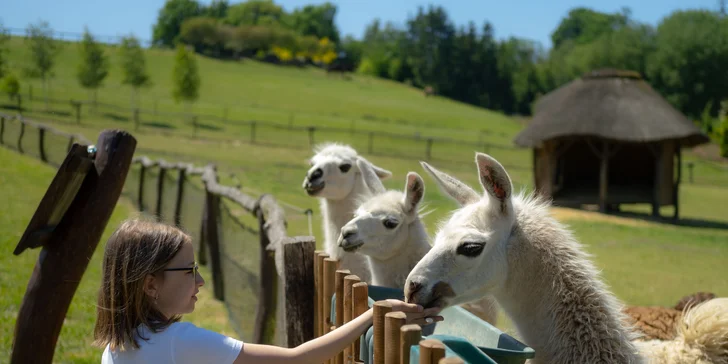 Vstupné na víkendové akce ve Farmaparku: celodenní program, vystoupení, známé osobnosti, zvířátka, atrakce