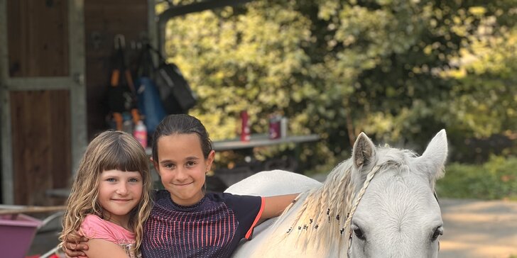 Zážitek s poníky a dalšími zvířátky v srdci Vysočiny na vyhlášené farmě Sýkorův Mlýn