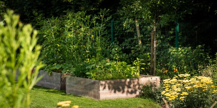Jedlá zahrada: online kurz pěstování ovoce, zeleniny i bylinek s odborníky, které znáte z TV