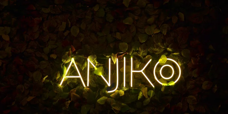 Menu v asijské restauraci: 25 ks sushi, jarní závitky i gyoza