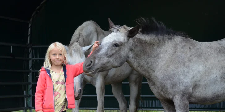 1,5 hodiny na ranči: osedlání, projížďka na koni i krmení zvířat