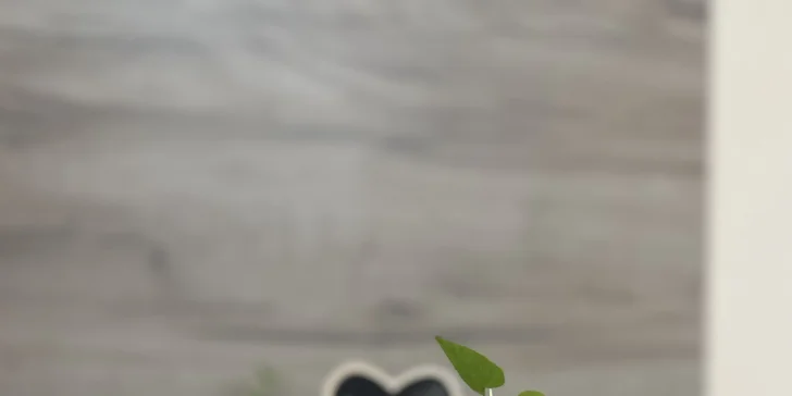Malý nebo velký fresh či cream bubble tea s toppingem dle výběru pro 1 i 2 osoby