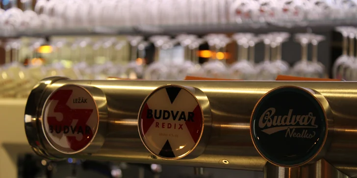 Otevřený voucher na jídlo v restauraci Brykule: 500 či 1000 Kč na kvalitní českou kuchyni