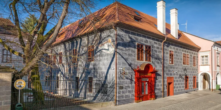 Na okamžik do historie: prohlídky renesanční Zámecké lékárny, různé okruhy a témata
