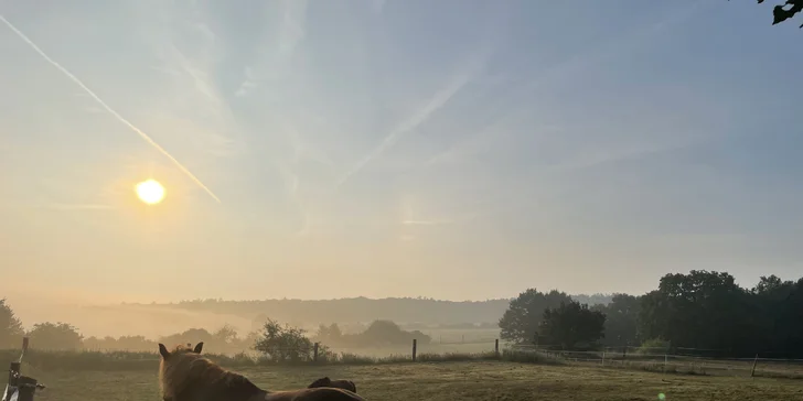 Příjemný penzion nedaleko Karlštejna se snídaní, saunou a koňmi